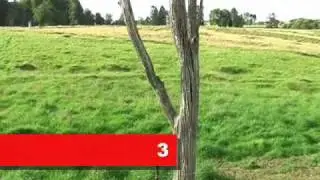 Newfoundland Memorial Park, The Somme, France