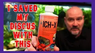 The #1 Reason I Use Ick-X