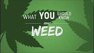 Learn about Weed