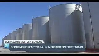 El Campo | Septiembre reactivará un mercado sin existencias | 30/08/24