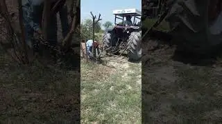 Tractor Hydraulic Power | Dabbung Tractor 85 | Tree Out From The Ground By Power Of Tractor