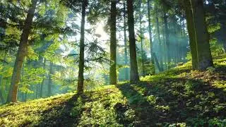 О компании GreenWay (Гринвей)