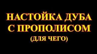 Настойка дуба с прополисом – польза.