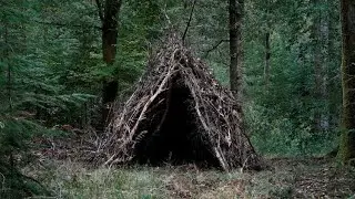 ПОСТРОИЛ ШАЛАШ В  ЛЕСУ! Выживания