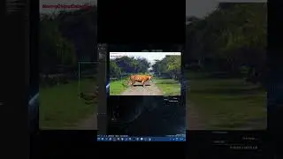 Moving Object Detection using with openCV