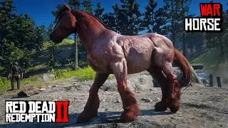 5 Best War Horses You Must OWN (Location & Rankings) - RDR 2
