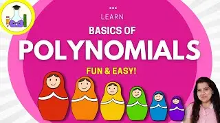 Everything about Polynomials | Basics of Polynomials