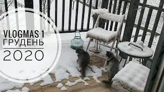 VLOGMAS❄️310 / грудень 2020