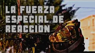 LA FUERZA ESPECIAL DE REACCIÓN// FUERZA ESPECIAL DE INTERVENCIÓN// FUERZA DE INTERVENCIÓN RÁPIDA.
