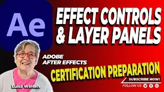 17 After Effects Certification Preparation - Effects Controls and Layer Panels 