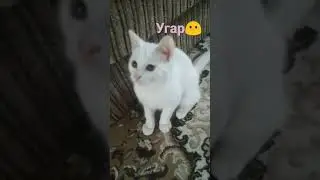угар😎
