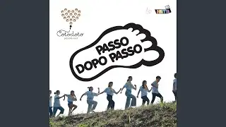 Passo dopo passo