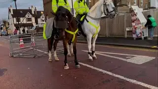 Two wonderful horses 🐎at Selhurst Park Live Crystal Palace v Arsenal #horses #police @metpolice_uk
