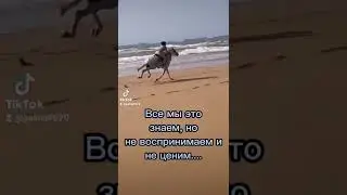 #статусы
