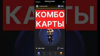 Комбо карты 16-17 июня Hamster Kombat 
