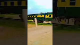 Asmaan sy pary