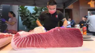 $10,000 Worth Otoro Slicing! Is It Better Than Wagyu?