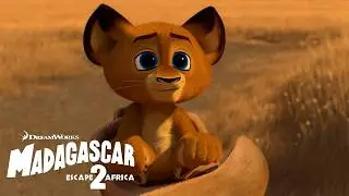 Baby Alex Gets Captured | Madagascar: Escape 2 Africa | Adventure & Play