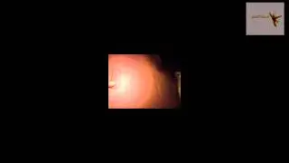 MasterLP Special 01: Lets Show Our PC´s [Very Funny&Faily:D]