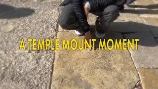 A Temple Mount Moment: Herod's Expansion of the Temple Mount to the West