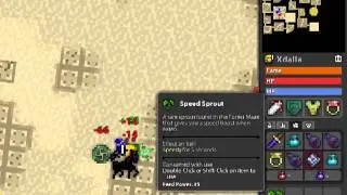 RotMG - Knight Duoing a Tomb with My Pet Horse