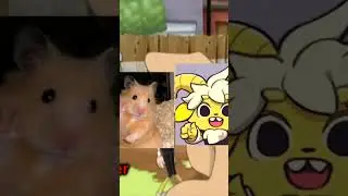 YTPH chavo animado 9 