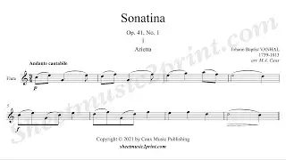 Vanhal : Sonatina op. 41, no. 1 - Flute