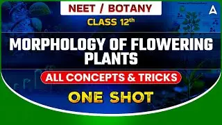 MORPHOLOGY OF FLOWERING PLANTS CLASS 12 ONE SHOT | NEET 2024 | ALL CONCEPTS & TRICKS SANKALP BHARAT