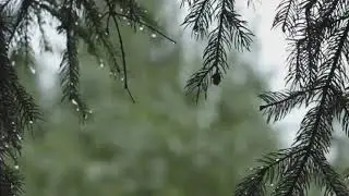 Weather is rainy