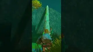 When you fall and find a way back up in TOTK: (The Legend of Zelda)