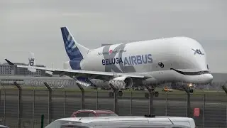 (Full video) Beluga XL Landing and departure from London Heathrow 4K