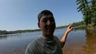 Fishing Back Lake LOADED with Fish (Catch and Cook)