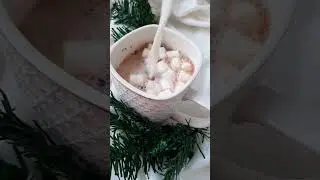 Шоколадные бомбочки с какао и маршмеллоу. Не только для детей, но и для взрослых.