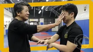 His Wing Chun Blows My Mind | Sifu Francis Fong