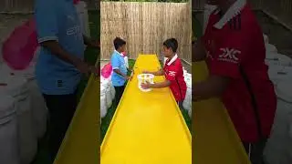 Who Will Win Hammer Shot Ludo Luck Challenge ?? Part2