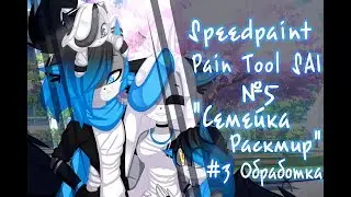 Speedpaint Paint Tool SAI  №5 