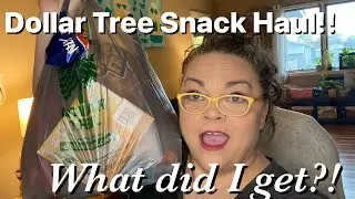 Dollar Tree Snack Haul!! What did I get?!