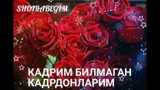 Кадрим билмаган кадрдонларим таьсирли шеьр.