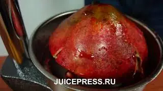 Профессиональный пресс для цитрусовых и граната