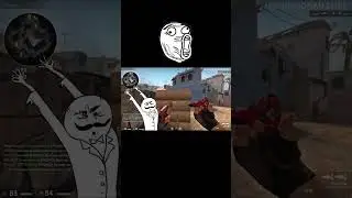 ЛУЧШИЕ МОМЕНТЫ МАРМОКА С АВП #мармок