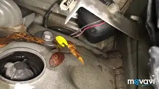 Water on the cabin floor? Cleaning Renault Scenic 3 drains. DIY cleaning and disassembly!