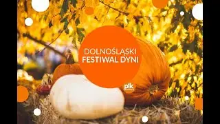 Dolnośląski Festiwal Dyni 2022 | Wrocław