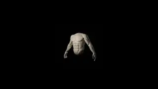 Torso and Arms Sculpting | Blender Timelapse. 