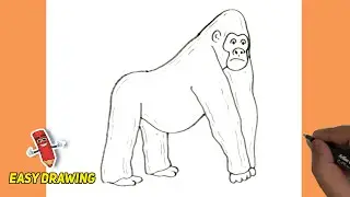 How To Draw A Gorilla Step BY Step | A Gorilla Easy Line Drawings | A Gorilla drawings Tutorials