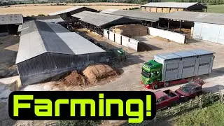 Mowing Silage! Bailing Straw! It’s all Happening on the Farm!