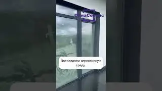 Решили проверить, как наша работа справится с ливнем. Для этого создали агрессивную среду ⛈️
