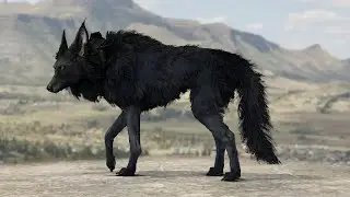 Ash Black Wolf-Dog - Hair Particle - Grooming Fur | Animation View port Render Alpha Evee | Part 2