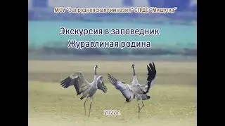 Журавлиная родина 2022