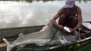 Overnight fishing trip (monster piraiba)