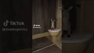 spooky donkey